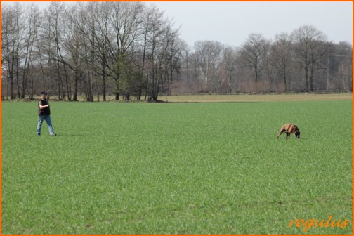 Rheine